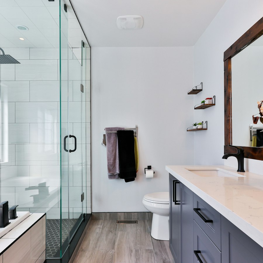 Bathroom Cleaning
